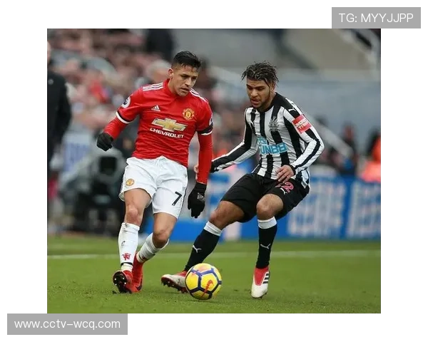 塔斯马尼亚跳伞蚁六连败中战悉尼国王，主场欲止颓势